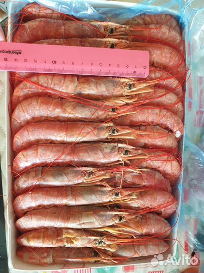 Лангустины креветки блок 2 кг