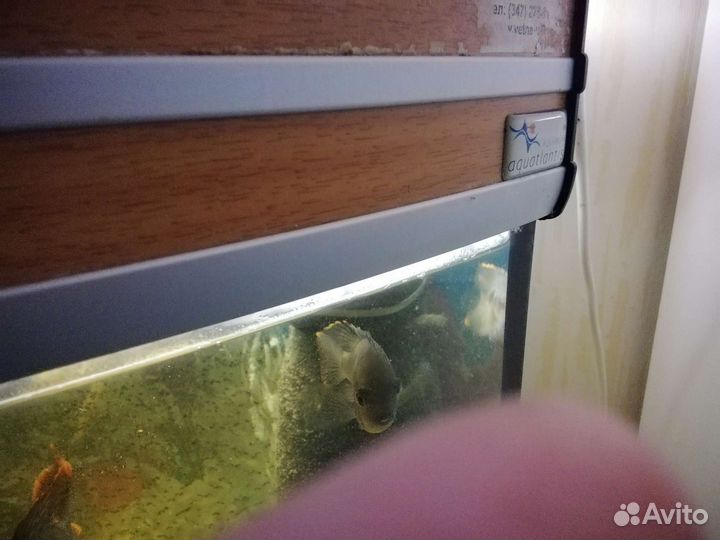 Аквариум 300л