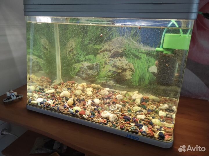Аквариум jebo