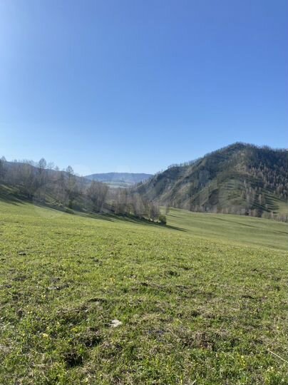 Участок 3 га (СНТ, ДНП)