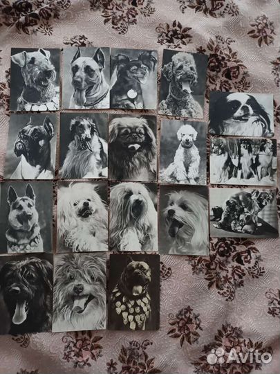 Открытки СССР 68-69г