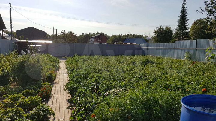 Дача 38 м² на участке 7 сот.