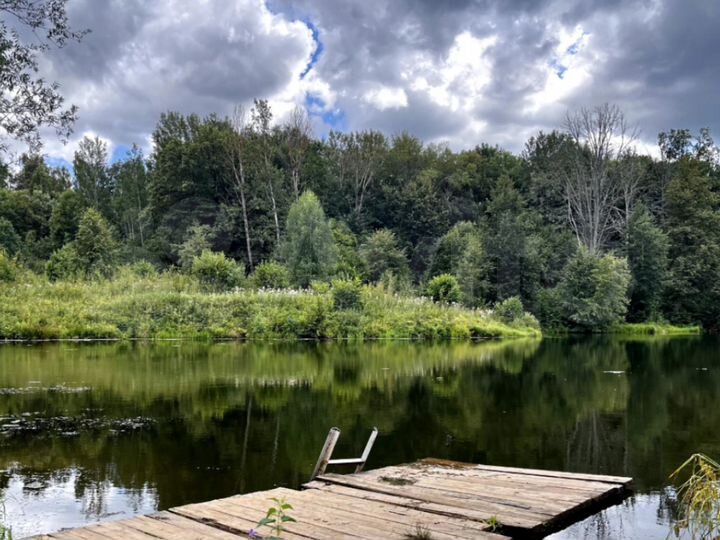 Участок 10 сот. (ИЖС)