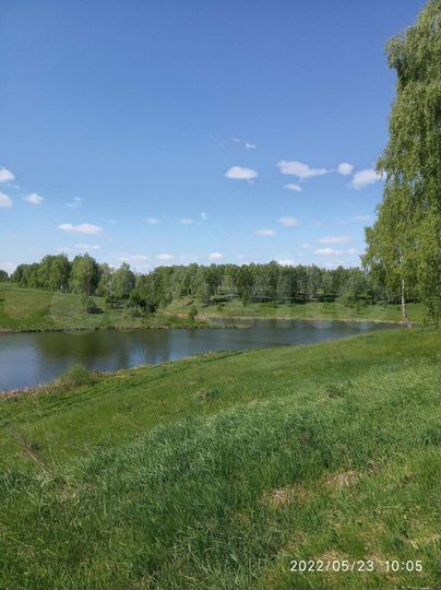 Участок 12,5 сот. (ИЖС)