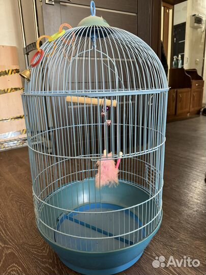 Клетка для попугая