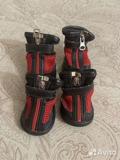 Ботинки для маленьких собак