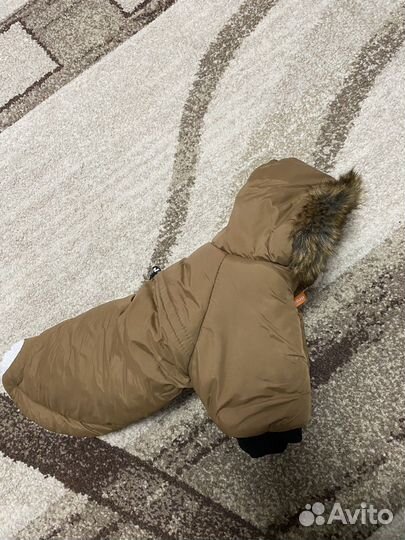 Комбинезон для небольшой собаки 28