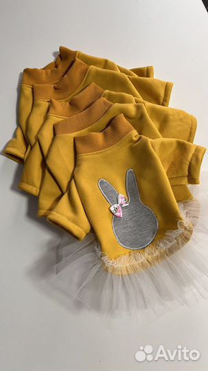 Кофточки для собак и кошек