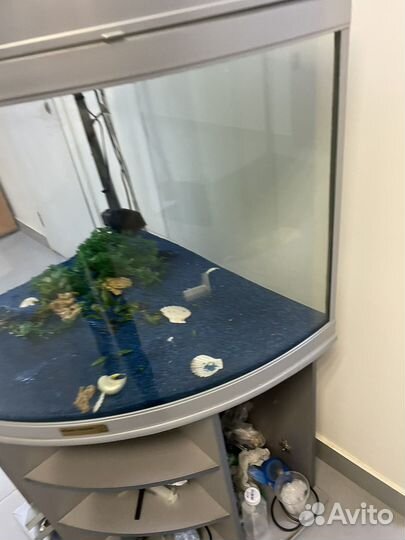 Аквариум с тумбой бу