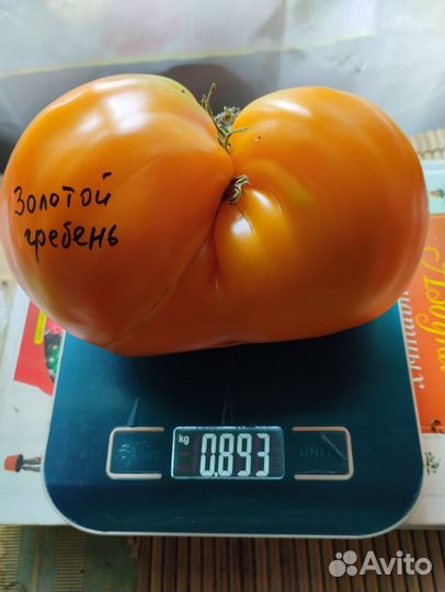 Семена томатов набор