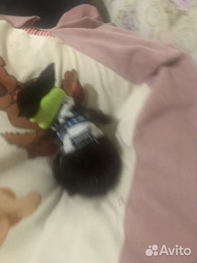 Бурманская