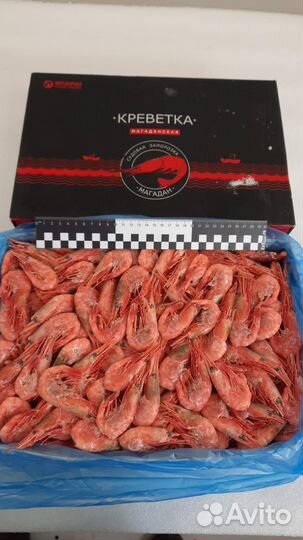 Икра и Креветки магаданские