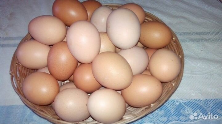 Яйцо куриное домашнее