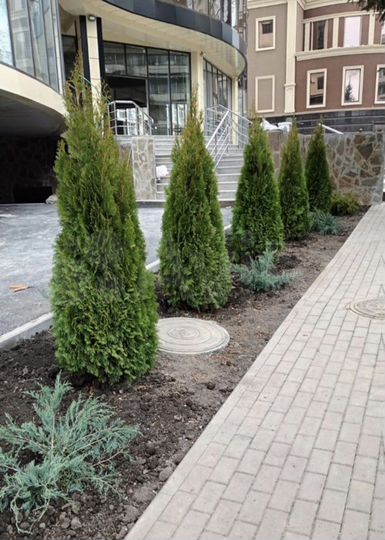 2-к. квартира, 97,2 м², 12/19 эт.