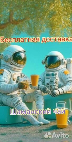 Чай пуэр « Космос шаманов » шмн14982