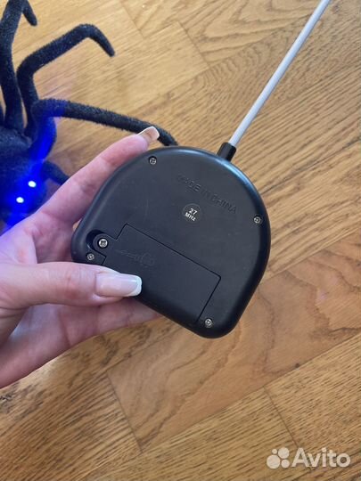 Паук на пульте