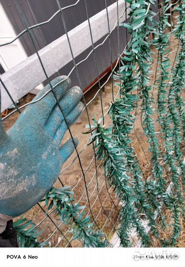 Сетка сварная для забора рулонная