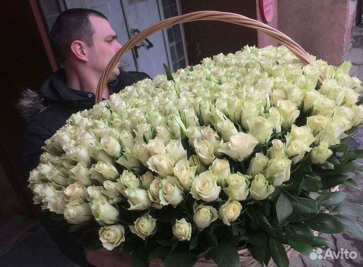 101 роза цветы букеты доставка 25 51 101 роза