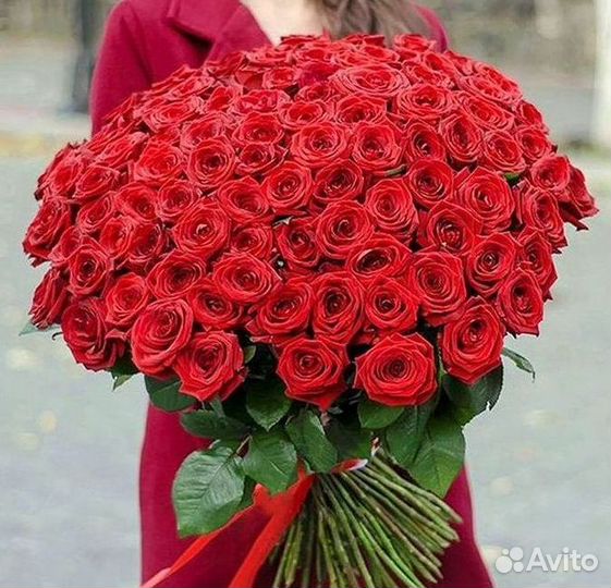 Высокие розы Гигантские розы Доставка цветов