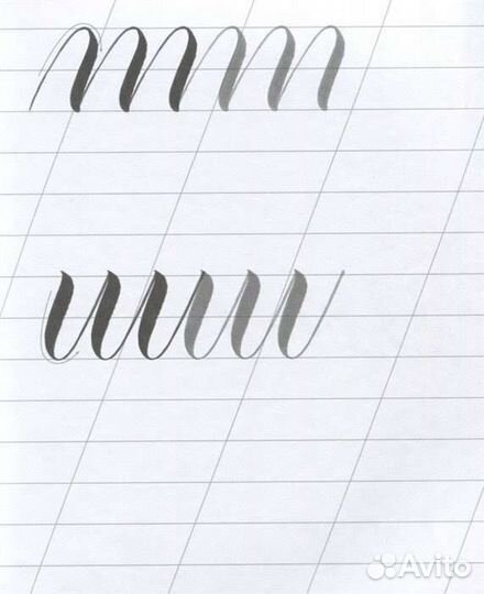 Суворова каллиграфия кистями советы приёмы и идеи