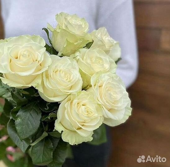 Высокие розы Гигантские розы с доставкой