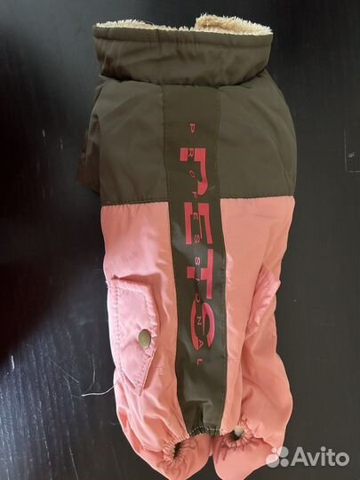 Комбенизон для мелких пород собак