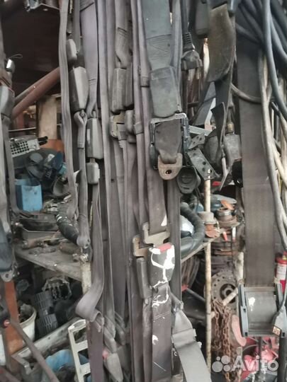 Ремни безопасности для автобуса