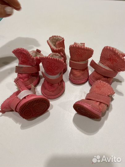 Ботинки для маленьких собак