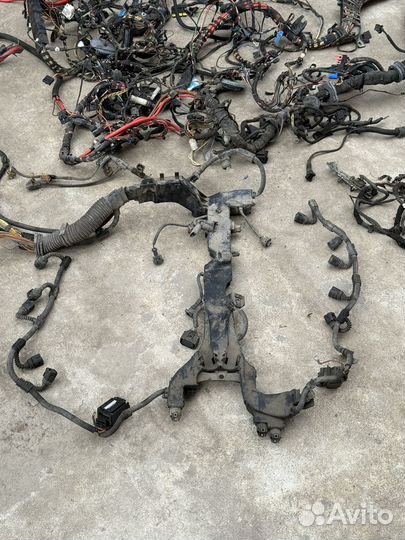 Bmw M6 E63 электропроводка кузова и двигателя