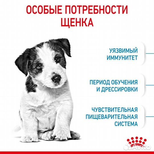 Корм Royal Canin для щенков мелких пород, 800г