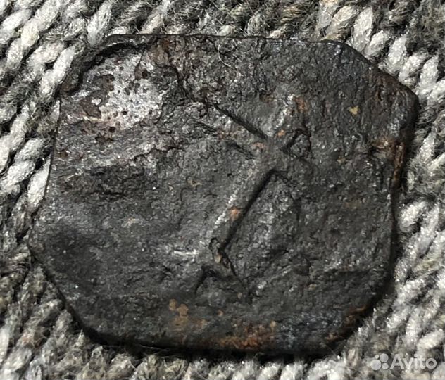 Монеты Чешуйки