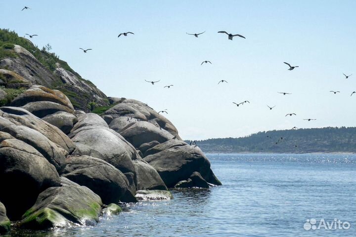 Карелия отдых, Тур на 7 дней на берегу Белого моря