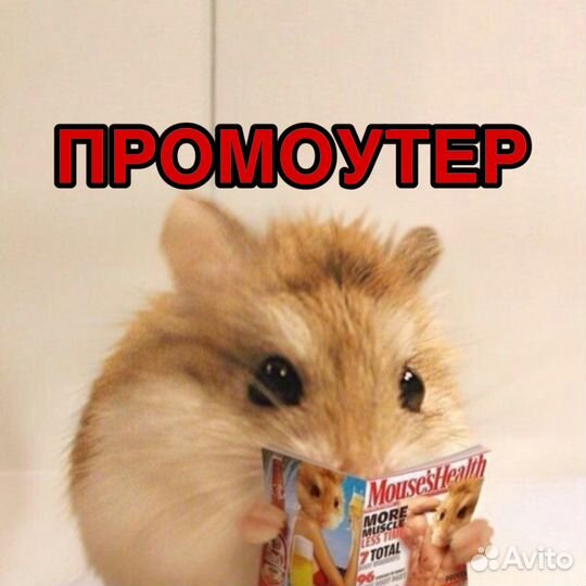 Промоутер