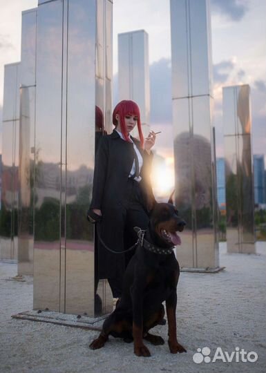 Доберман для фотосессии