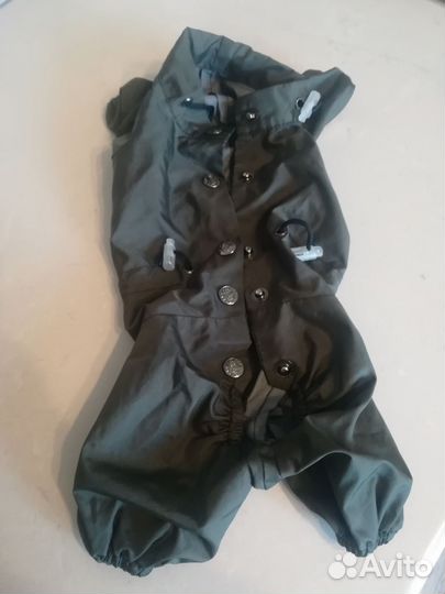 Комбинезон для маленькой собаки(мальчика)