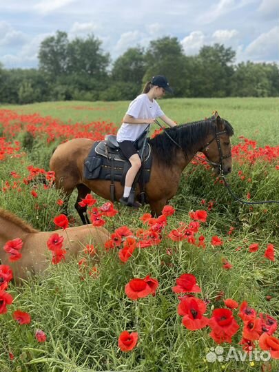 Конные прогулки