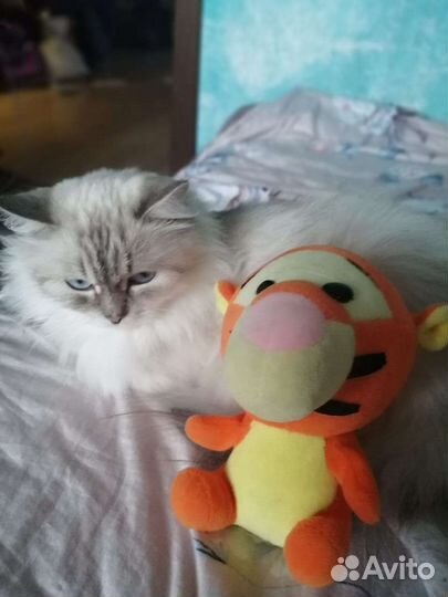 Мягкая игрушка тигренок