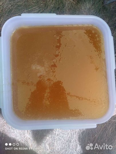 Мед подсолнечный