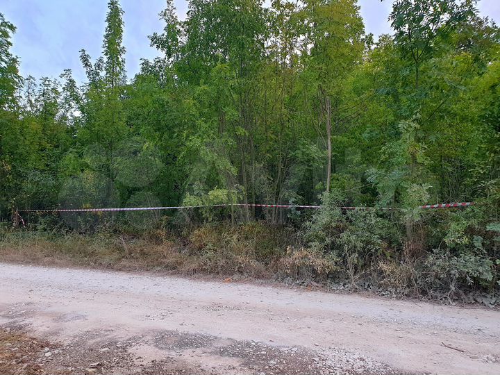 Участок 4,1 сот. (СНТ, ДНП)