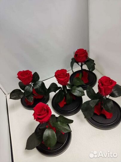 Роза в колбе оптом и в розницу