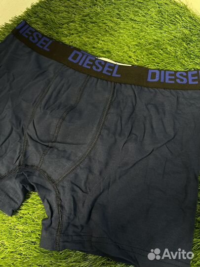 Боксеры Diesel