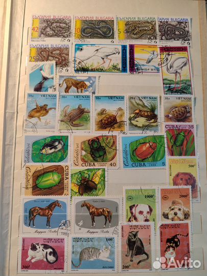 Почтовые марки СССР альбом