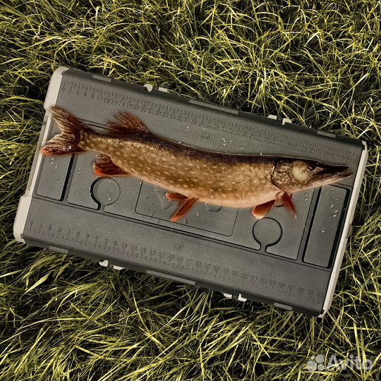 Автохолодильник Meyvel AF-H120DD