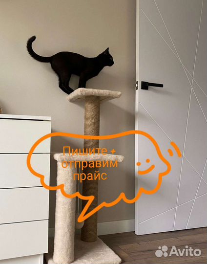 Когтеточка для кошек