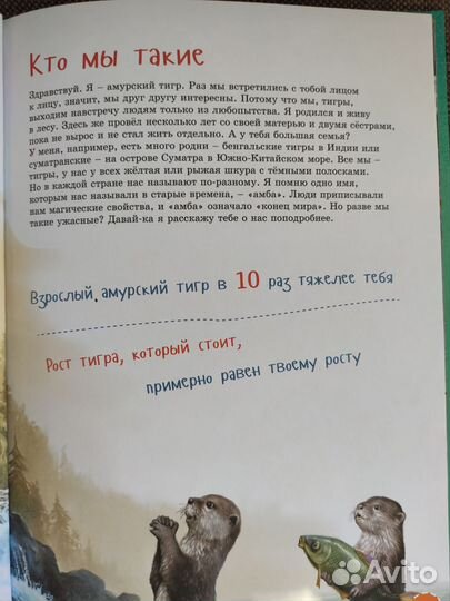 Я тигр. Книги о животных. Animalbooks