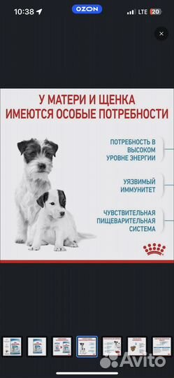 Сухой корм для собак royal canin starter