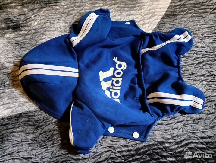 Костюм для маленькой собачки