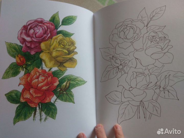 Раскраски новые