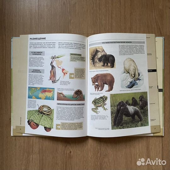 Детская энциклопедия