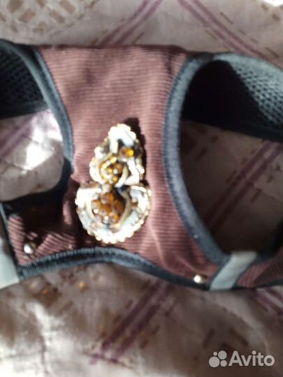 Шлейка для небольшой собачки